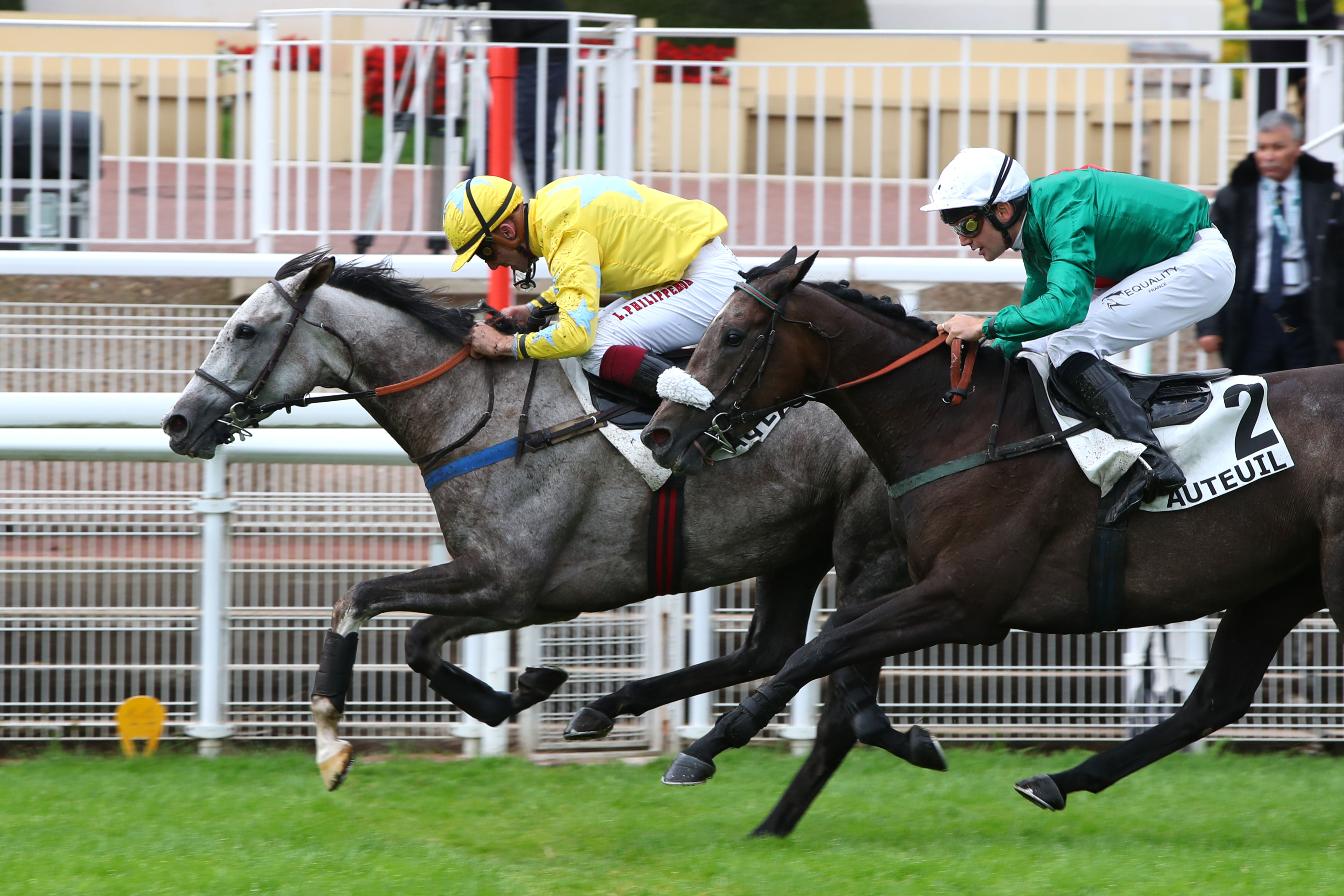 Auteuil (Paris XVIe), le mardi 24 Septembre 2024. Tout en dehors, Isis d'Inor (n°6) la jument grise, parvient à dominer la situation dans les derniers mètres. ScoopDyga.