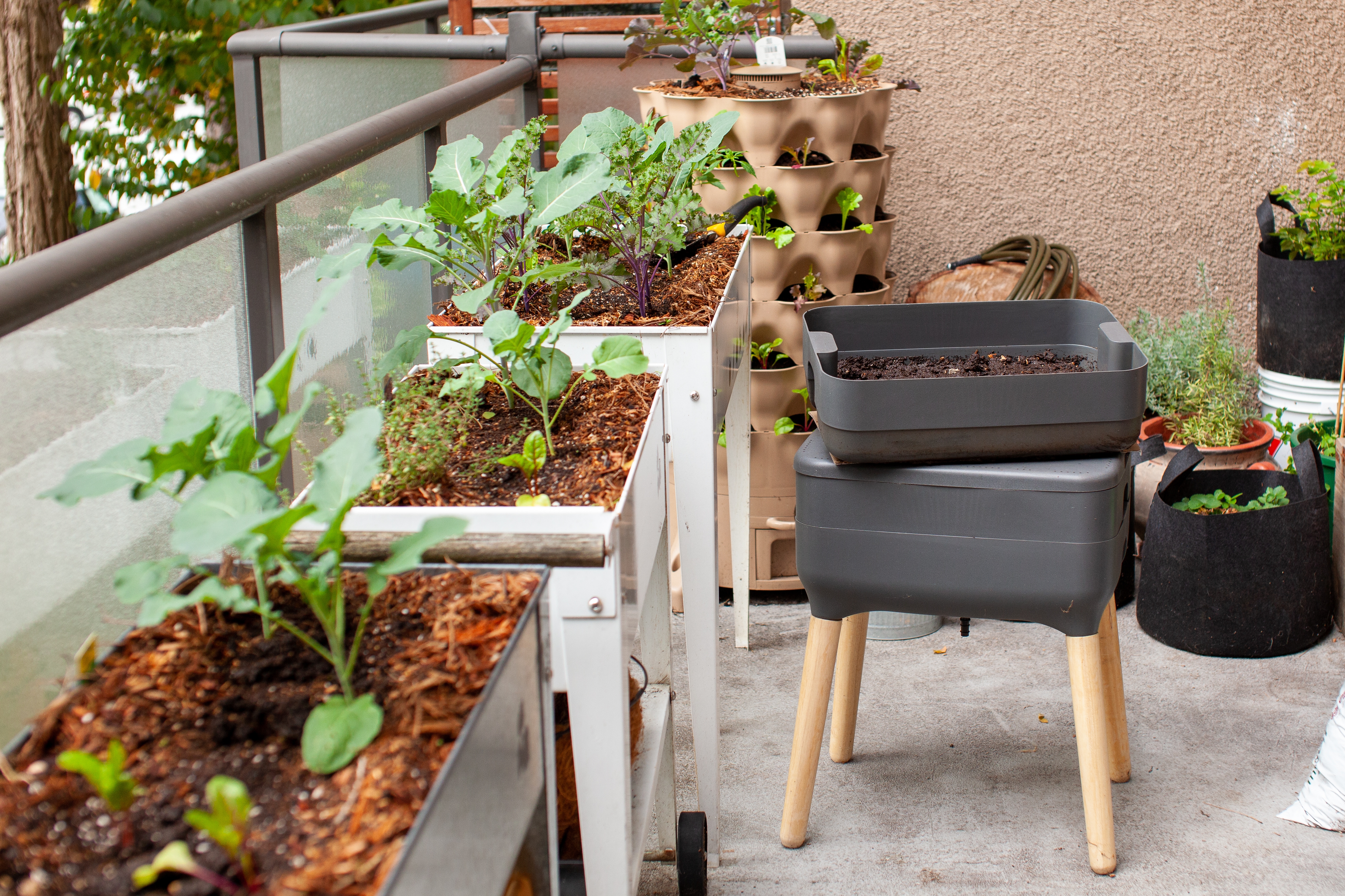 La biodiversité sur un balcon se réfère à la variété d’espèces végétales et animales qui coexistent dans cet espace restreint. Copyright (c) 2021 Ashley-Belle Burns/Shutterstock.  No use without permission.