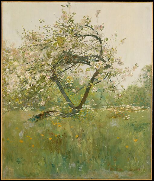 Peach Blossoms—Villiers-le-Bel