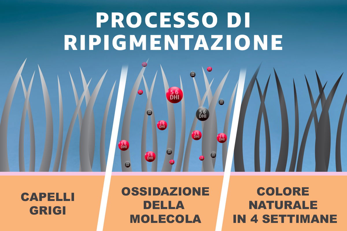 Schema processo di ripigmentazione