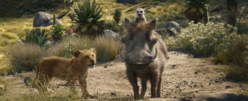 scena del film il re leone