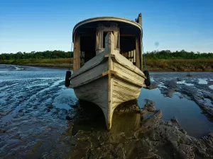 Moradores da foz do Amazonas sentem o gosto salgado das mudanças climáticas