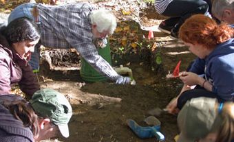 Excavation, Lawson Site