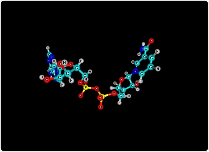 Ball and stick interpretation of NAD, the coenzyme form of niacin, or vitamin B3