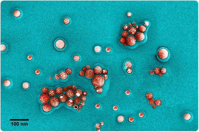 Cobalt under Transmission Electron Microscope