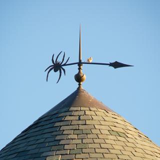 Weather vane on top of Robins School of Business