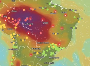 SBPT participa de reunião de emergência do Ministério da Saúde sobre incêndios e saúde pública