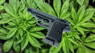 a gun rests on top of cannabis leaves | MIS Photography/pxfuel.com