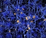 Creating the first genetically susceptible mice for late-onset Alzheimer's