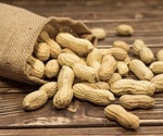 Longitudinal antibody changes key to identifying peanut allergy resolution in kids