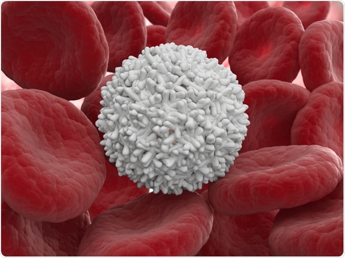 Immune system - white blood cell next to red blood cells - By Mopic