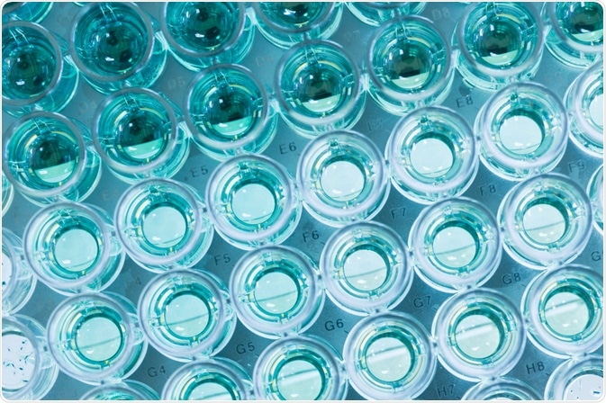 96-well late with samples for assay - By Lab Photo