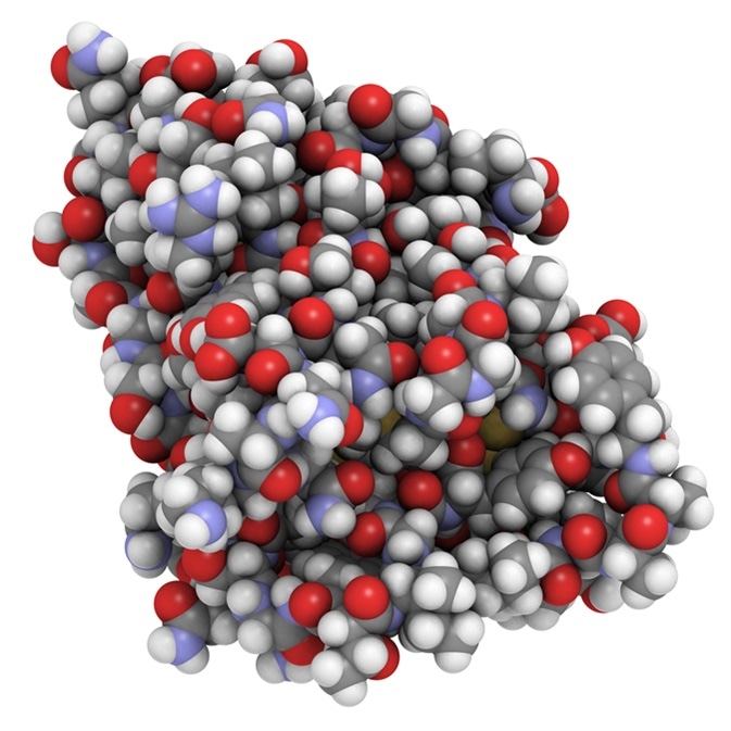 Nanobody protein therapeutic molecule. Nanobodies are small antibodies found in camels, dromedaries and llamas. All-atom representation, atoms are represented as conventionally colored spheres. Image Credit: molekuul_be / Shutterstock