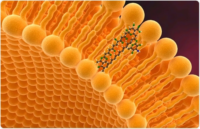 Liposome - Image Credit: CiplaMEDVideo