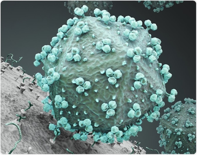 The depletion of CD4+ T cells in HIV infection has long been correlated with the overexpression of the cell surface adhesion receptor protein, CD38.