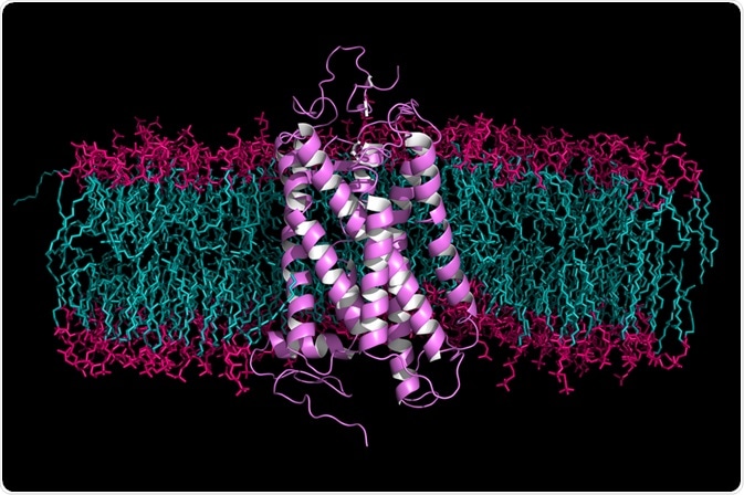 Targeted proteomics is a technique concerned with the quantification of specific proteins