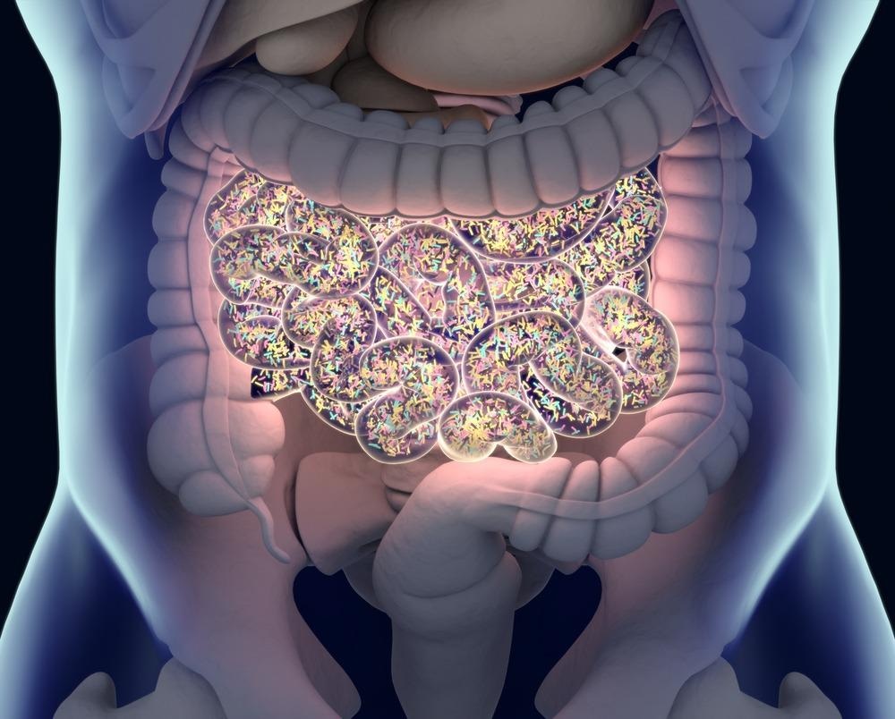 Gut Microbiome