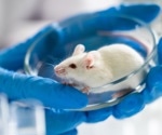 Study reveals cognitive benefits of ketogenic diet in aged mice