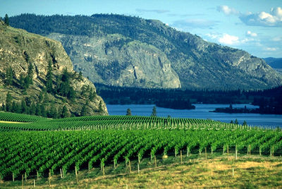 Okanagan Valley