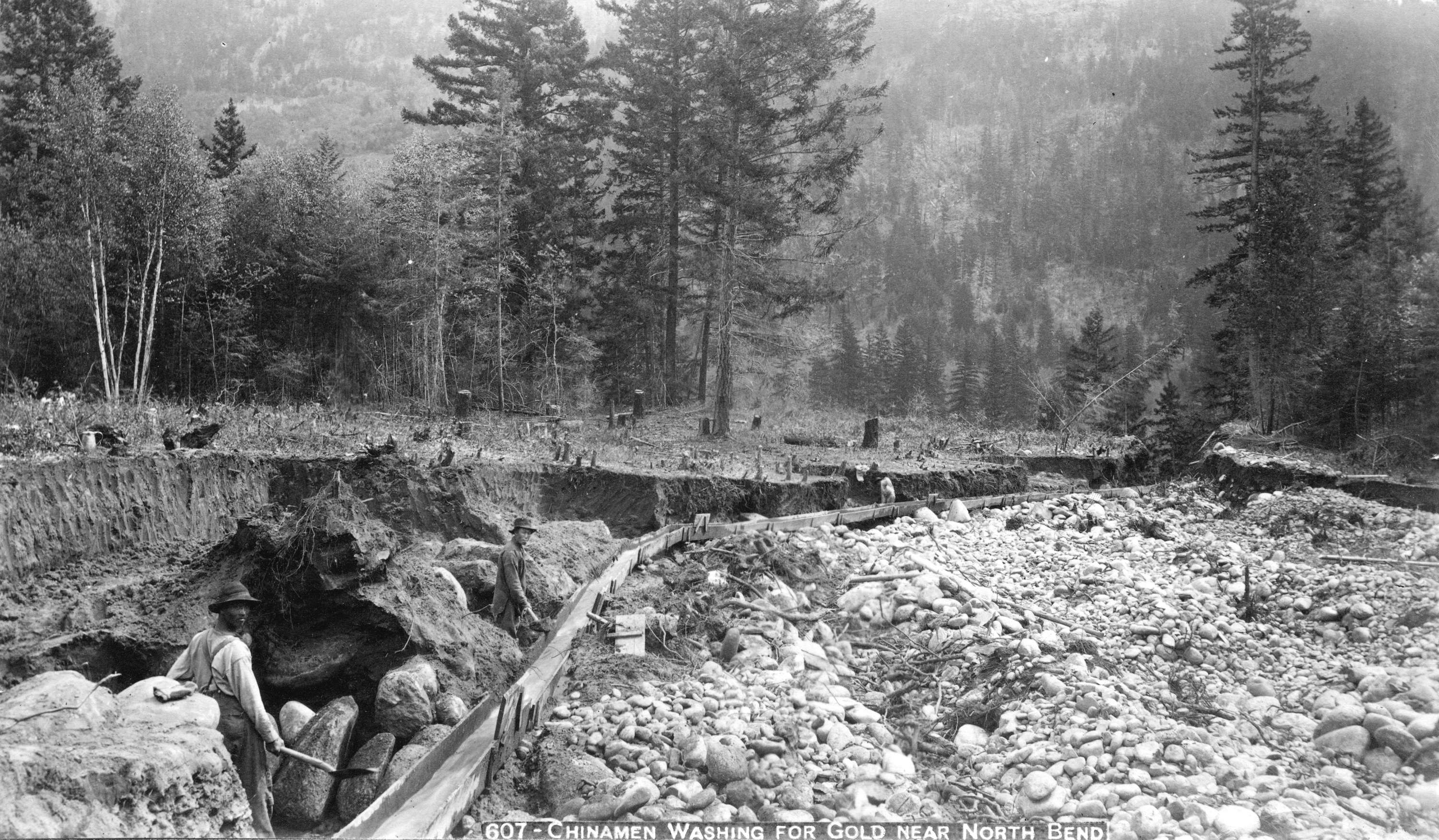 Chinese men mining for gold near North Bend in British Columbia, 1891.