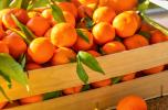 I raccolti delle arance sono in crisi soprattutto in Brasile e Usa