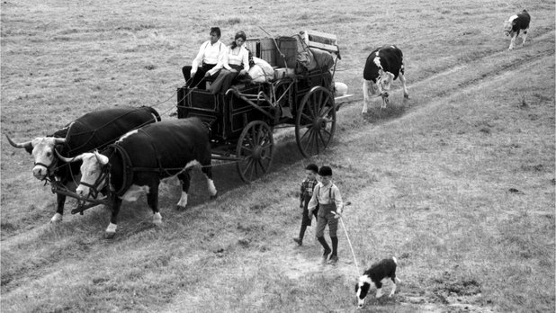 Drylanders