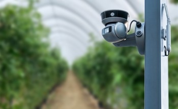 Robots in Precision Agriculture: Recent Advancements
