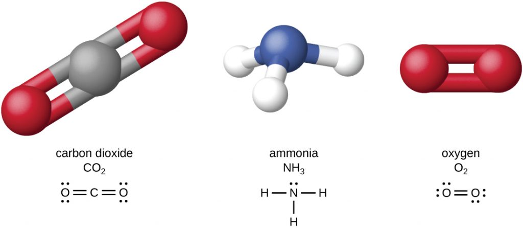 Diagram depicting the structures of carbon dioxide, ammonia and oxygen.