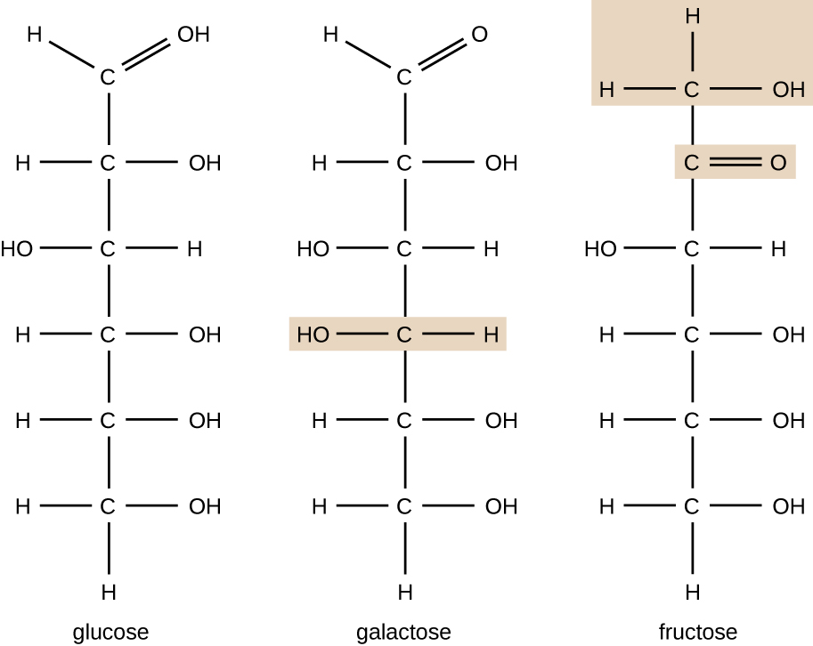 Diagrams depicting the three structural isomers of glucose, galactose and fructose.