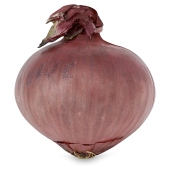 Essential Red Onions