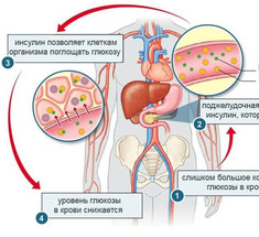 Как понять, что инсулин повышен