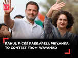 Rahul Gandhi retains Rae Bareli; Priyanka to make poll debut from Wayanad:Image