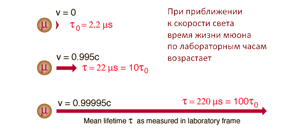 Среднее время жизни и дистанция, которую пролетает мюон до распада, в зависимости от его скорости