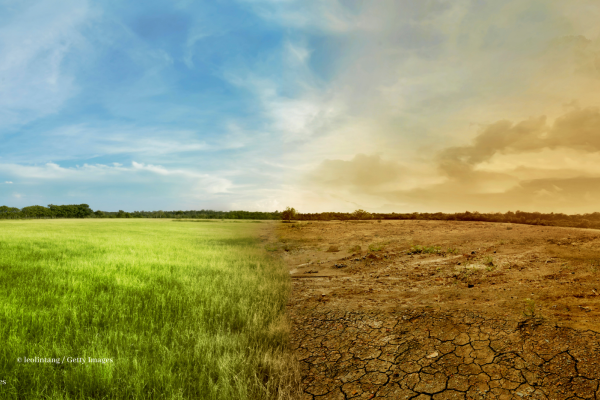 Landscape split in two, depicting a verdant and an arid side. 