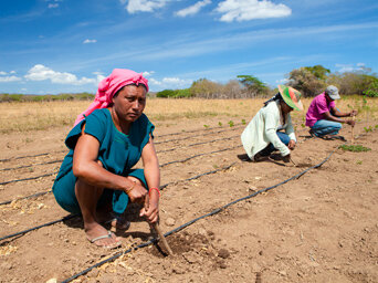 Mujer cultivando en Colombia