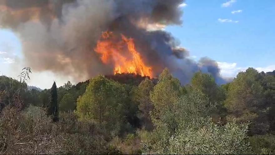 El incendio de Simat de la Valldigna obliga a desalojar diez viviendas y al corte de la CV-600