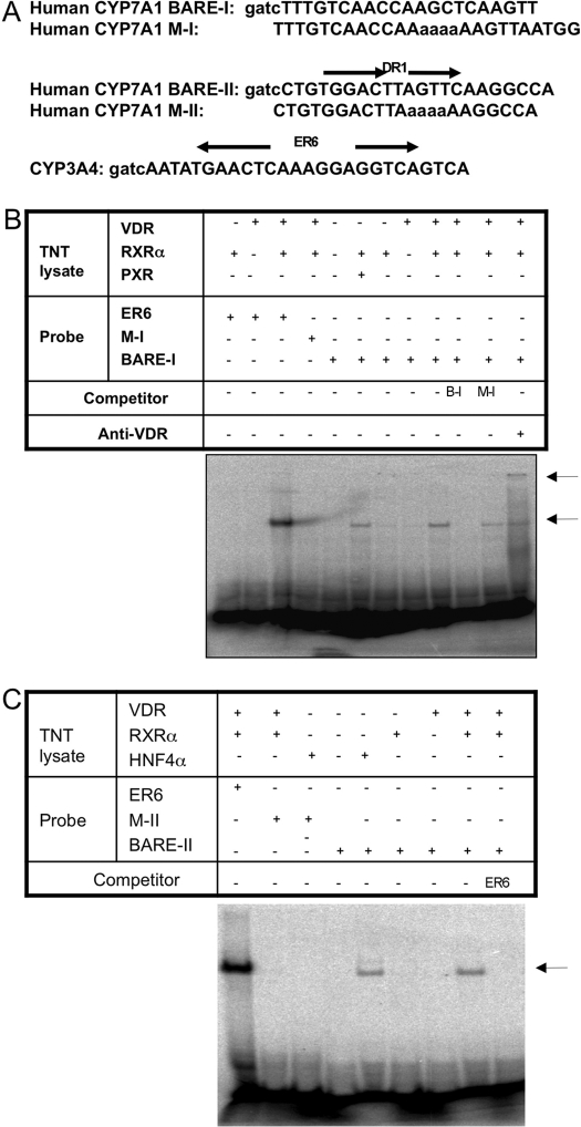 An external file that holds a picture, illustration, etc.
Object name is zdd0030946870005.jpg