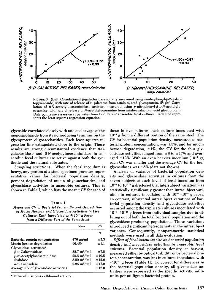 icon of scanned page 167