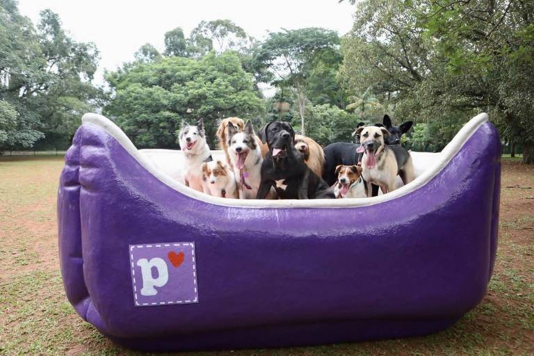 Petlove inaugura cachorródromo com exposição no Ibirapuera