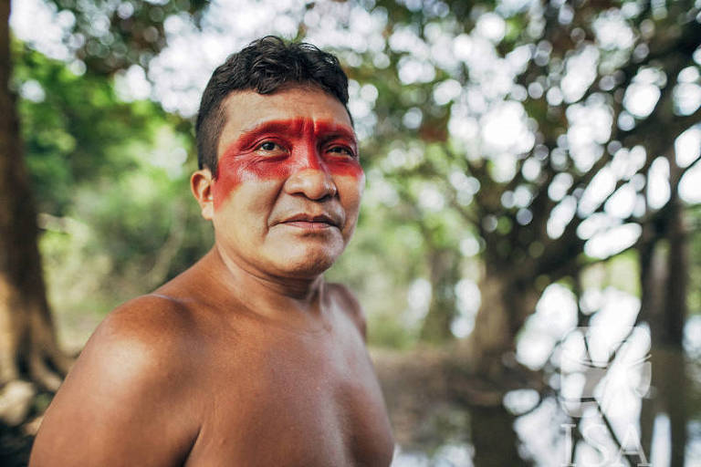 Artista indígena Joseca Mokahesi Yanomami entra para galeria Millan