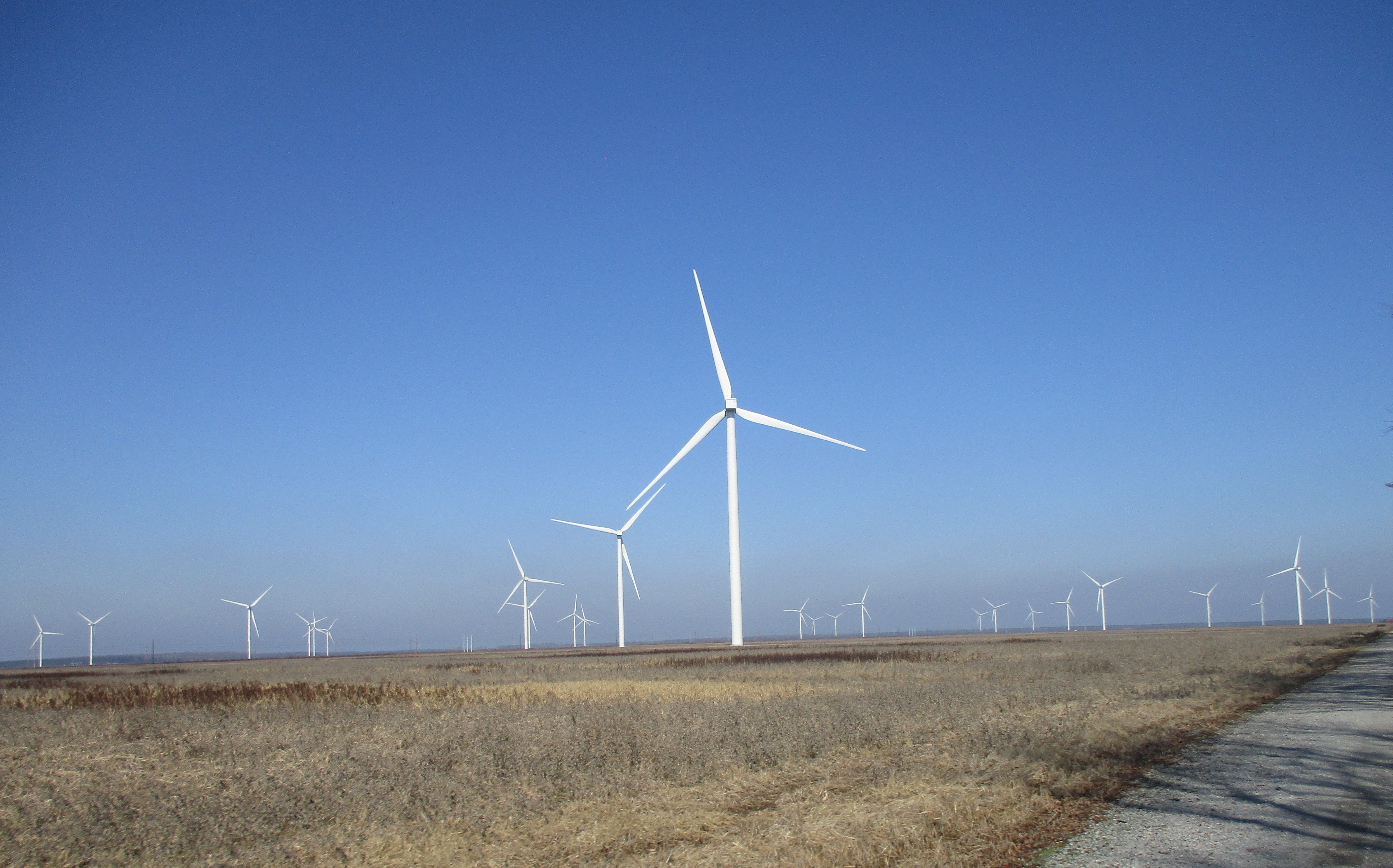 Turbines from the Desert Wind Farm in Perquimans and Pasquotank counties