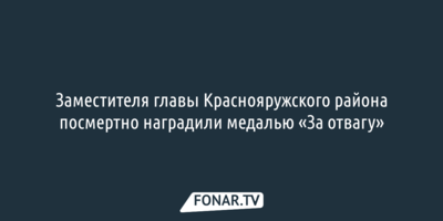 Замглавы краснояружской администрации посмертно наградили медалью «За отвагу»