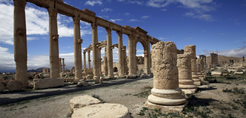 palmyra