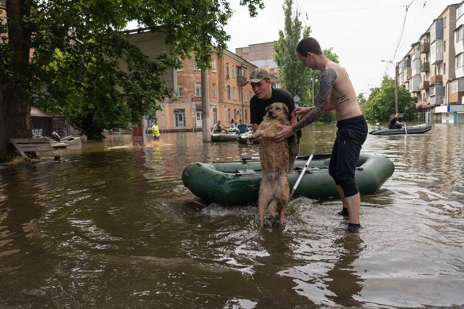 Local residents of Kherson evacuating a flooded area rescue a dog, after a dam exploded in Russian-controlled territory in Ukraine on June 7. Ukraine has blamed Russia for the dam’s rupture.