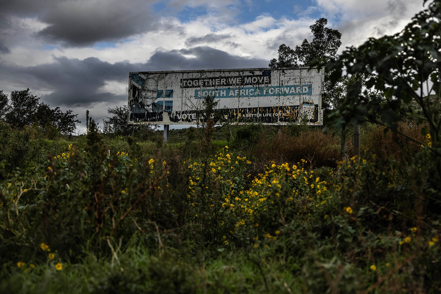 A weathered ANC sign including the South African flag and a photo of Jacob Zuma is seen behind overgrown vegetation against a cloud-filled blue sky. The sign reads: Together We Move South Africa Forward.