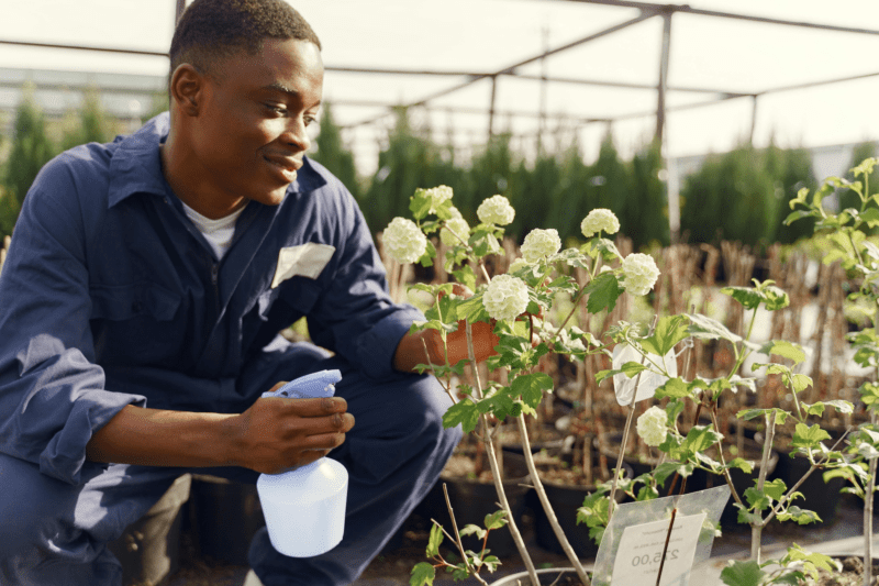 a man with a spray bottle looking at flowers.