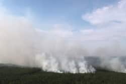 Лесные пожары в Красноярском крае. Август 2019 года