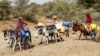 (FILE) Children ride donkeys carrying jerrycans amid a water shortage and soaring temperatures, at a makeshift camp for people who fled fighting between Houthi rebels and Saudi-backed government forces, in Yemen on June 13, 2024.