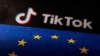 歐盟旗幟與TikTok標識