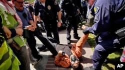 A University of Southern California protester is detained by USC Department of Public Safety officers during a pro-Palestinian occupation at the campus' Alumni Park, April 24, 2024, in Los Angeles.